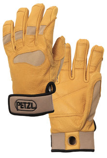 CORDEX PLUS