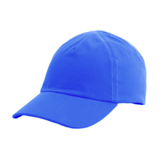 RZ Favori®T CAP васильковая