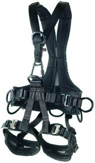 Golden Top Evo Alu Black New
