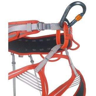 Core Belay Lock