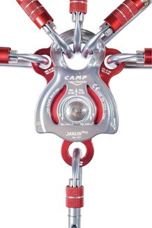 JANUS BLACK