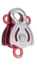 JANUS PRO