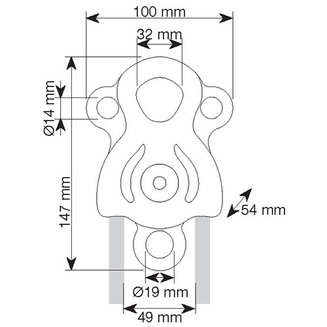 JANUS PRO