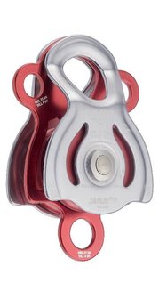 JANUS PRO